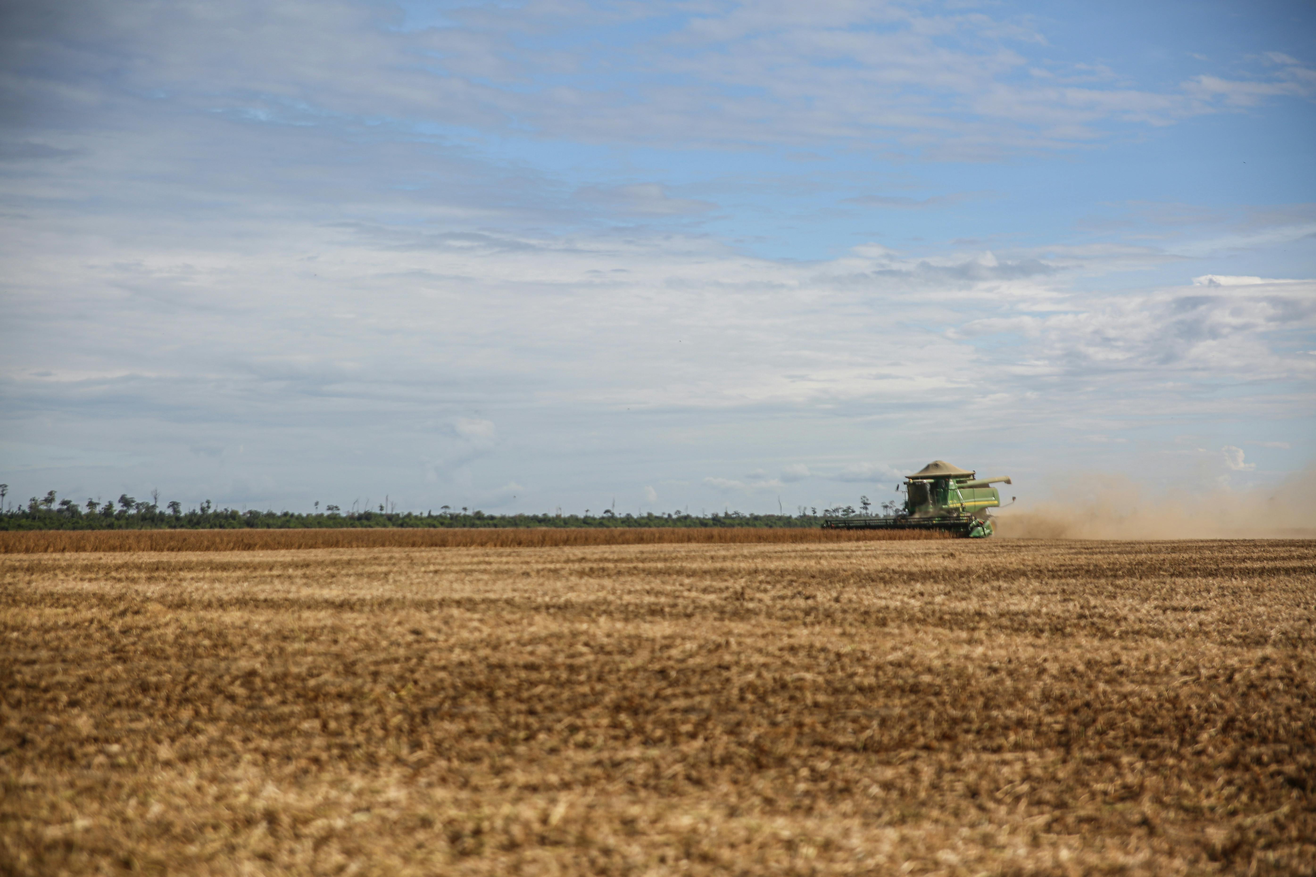 Precision Fine Chemicals: 2026 Strategic Industrial Profile of 2-Chloro-4-fluorobenzoic acid (CAS 2252-51-9)