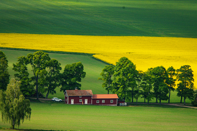 pexels-efrem-efre-2786187-32063609 (1).jpg