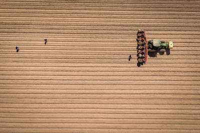 pexels-nc-farm-bureau-mark-37201225.jpg