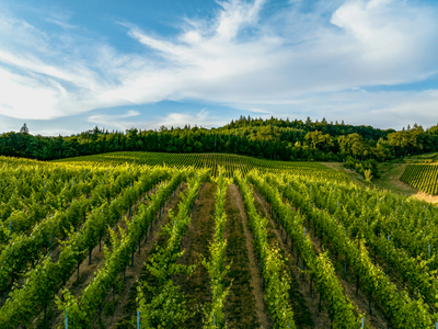 dan-meyers-R4ns94kbpAg-unsplash.jpg